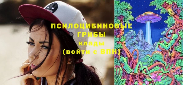 винт Арсеньев