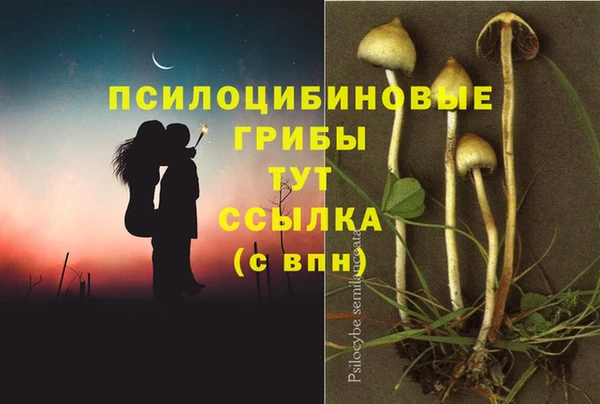 СК Аркадак