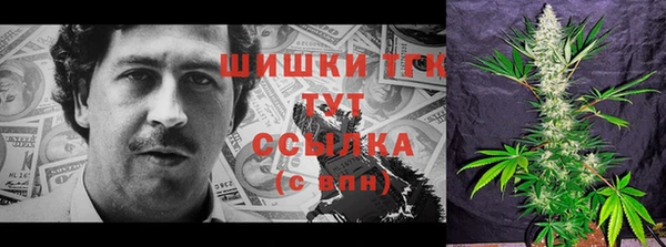 винт Арсеньев