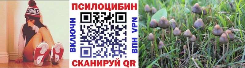 OMG вход  Зверево  Псилоцибиновые грибы мицелий  продажа наркотиков 